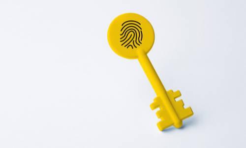 ciberseguridad Prosegur para proteger tu empresa ciberseguridad Prosegur para proteger tu empresa