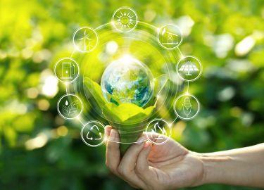 soluciones de efectivo para cooperativas
