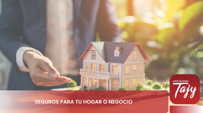 Alianza Seguros Tajy Prosegur Paraguay